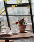 Best neighbourhood cafes in Edinburgh