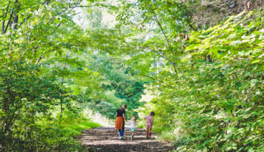 Family walks in Edinburgh that are perfect for kids and grown ups